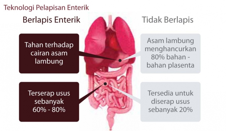 Teknologi Lapisan Entrik