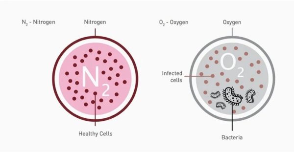 Teknologi Pengisian Nitrogen